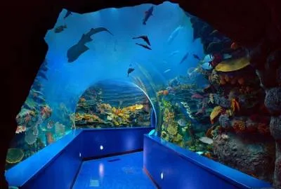Sharjah Aquarium
