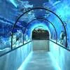 Sharjah Aquarium
