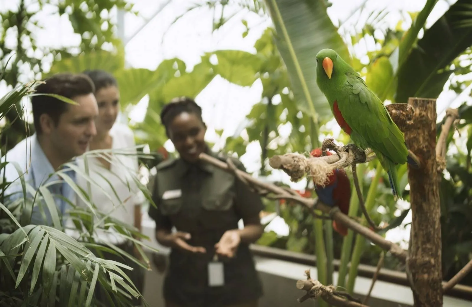 The Green Planet Dubai, Spojené Arabské Emiráty