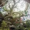 The Green Planet Dubai