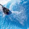 Wild Wadi Waterpark