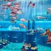Aquaventure Waterpark