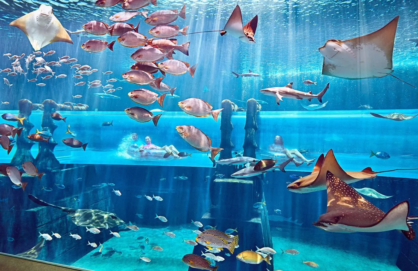 Aquaventure Waterpark