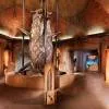 The Lost Chambers