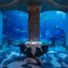 Ossiano, Atlantis The Palm