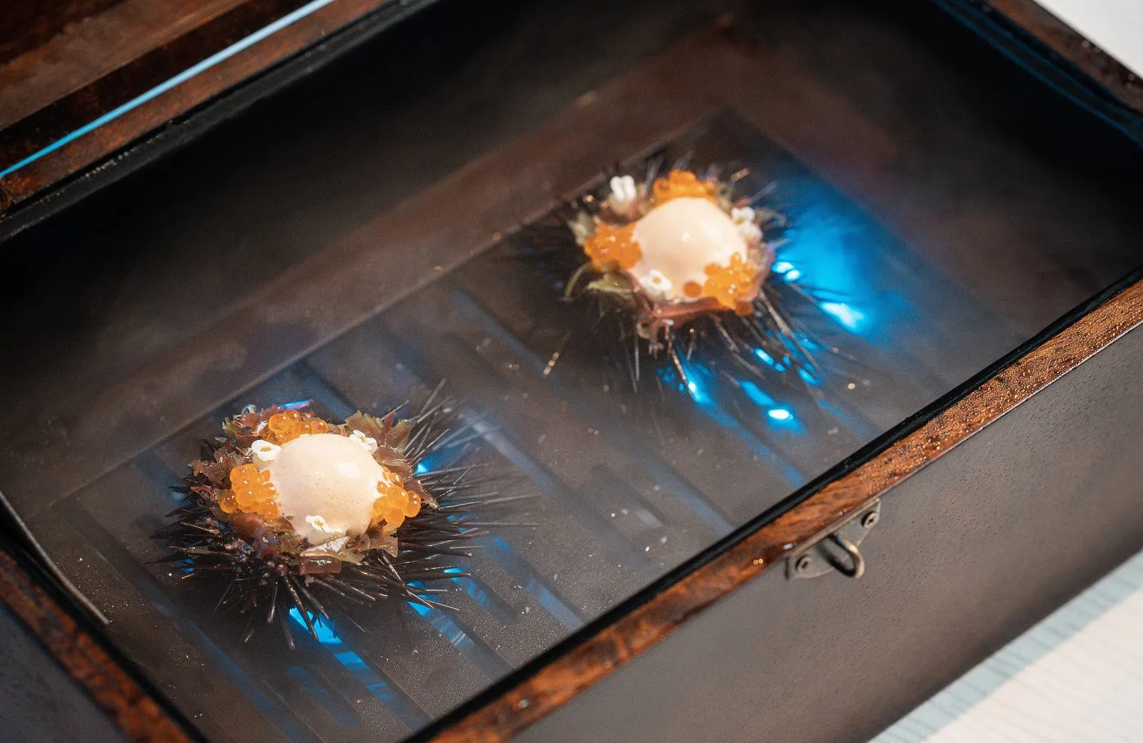 Ossiano, Atlantis The Palm