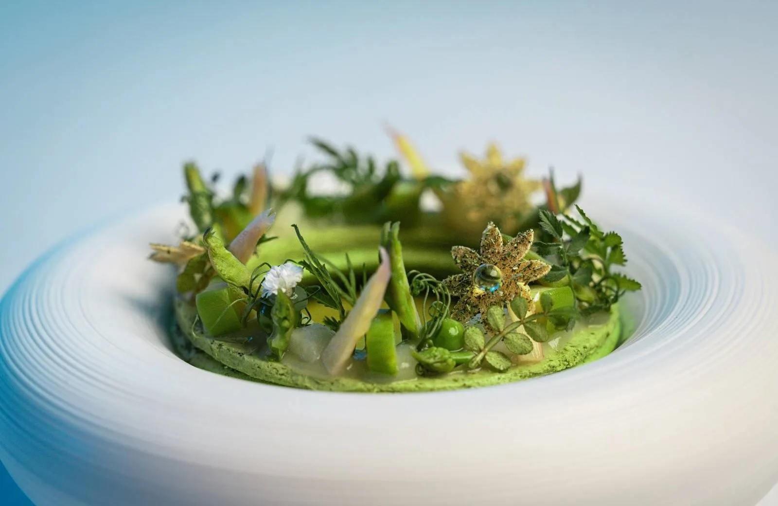 Ossiano, Atlantis The Palm