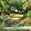 Al Ittihad Central Park