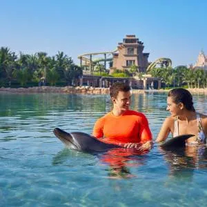 Dolphin Bay
