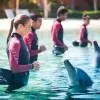 Dolphin Bay
