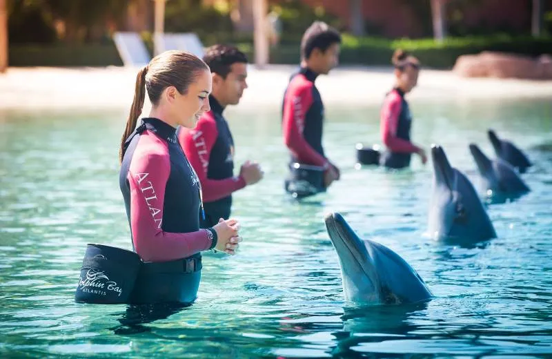 Dolphin Bay