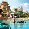 Dolphin Bay