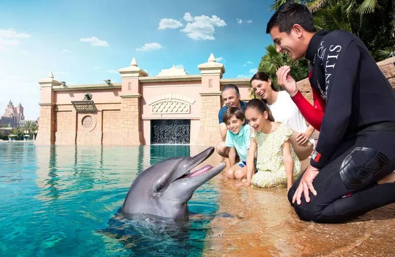 Dolphin Bay
