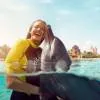 Dolphin Bay