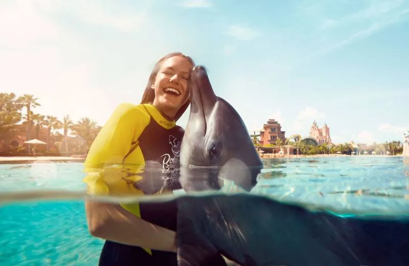Dolphin Bay
