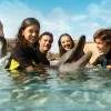 Dolphin Bay