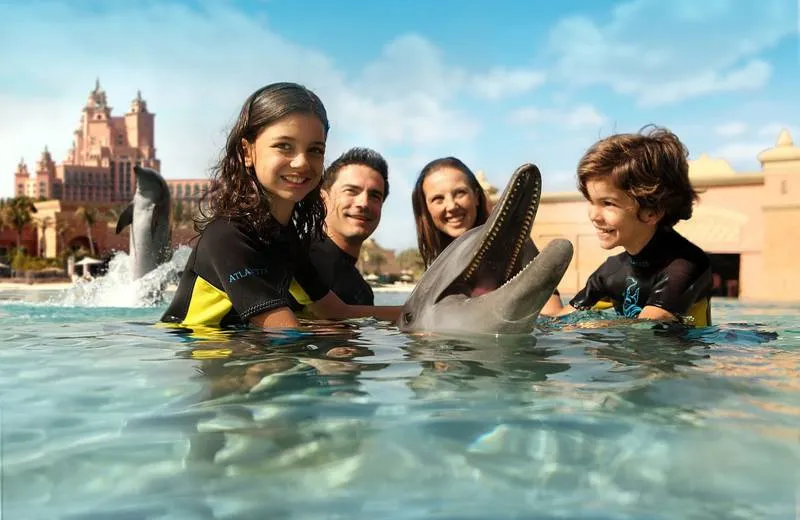 Dolphin Bay