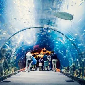 Dubai Aquarium & Water Zoo