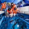 Dubai Aquarium & Water Zoo