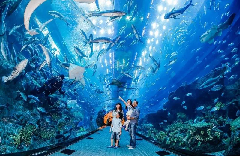Dubai Aquarium & Water Zoo
