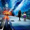 Dubai Aquarium & Water Zoo