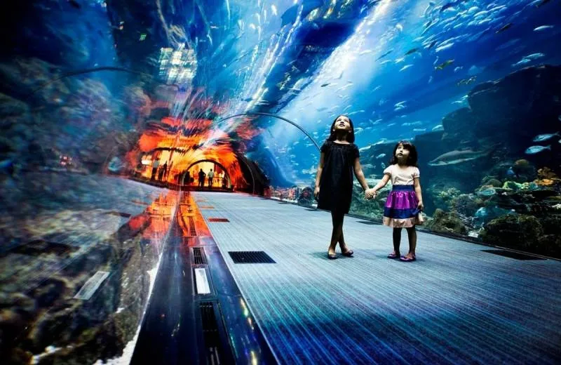 Dubai Aquarium & Water Zoo