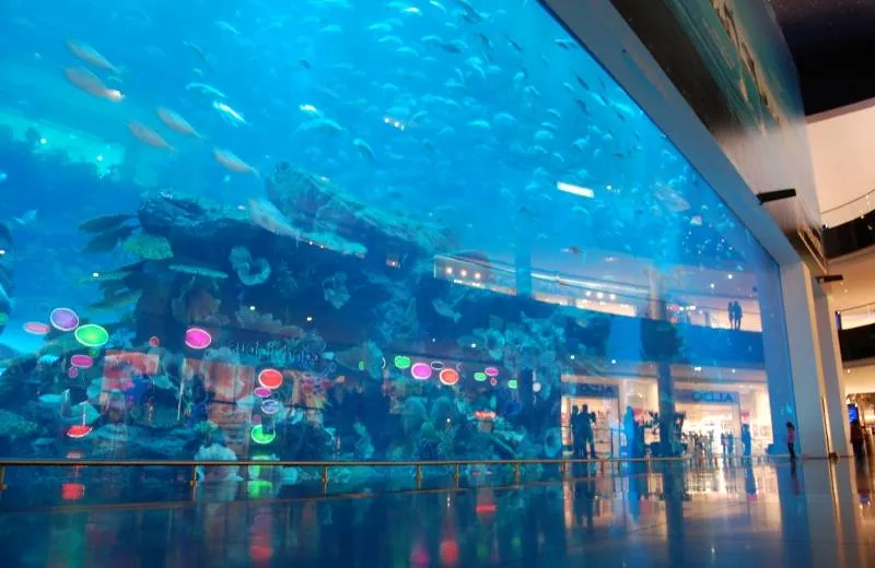Dubai Aquarium & Water Zoo