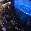 Dubai Aquarium & Water Zoo