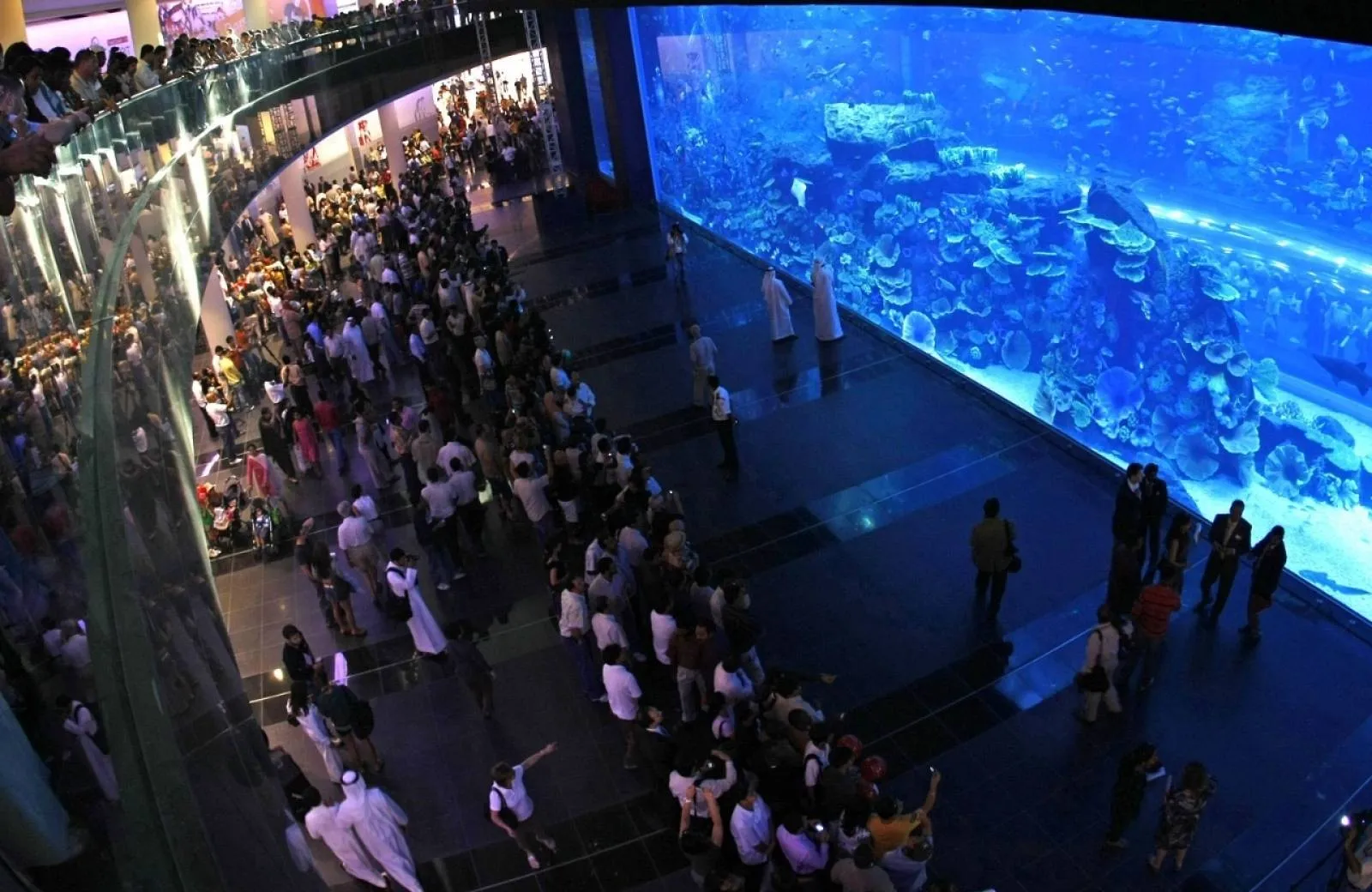Dubai Aquarium & Water Zoo