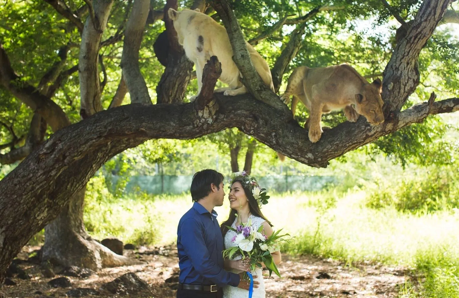 Casela World of Adventures