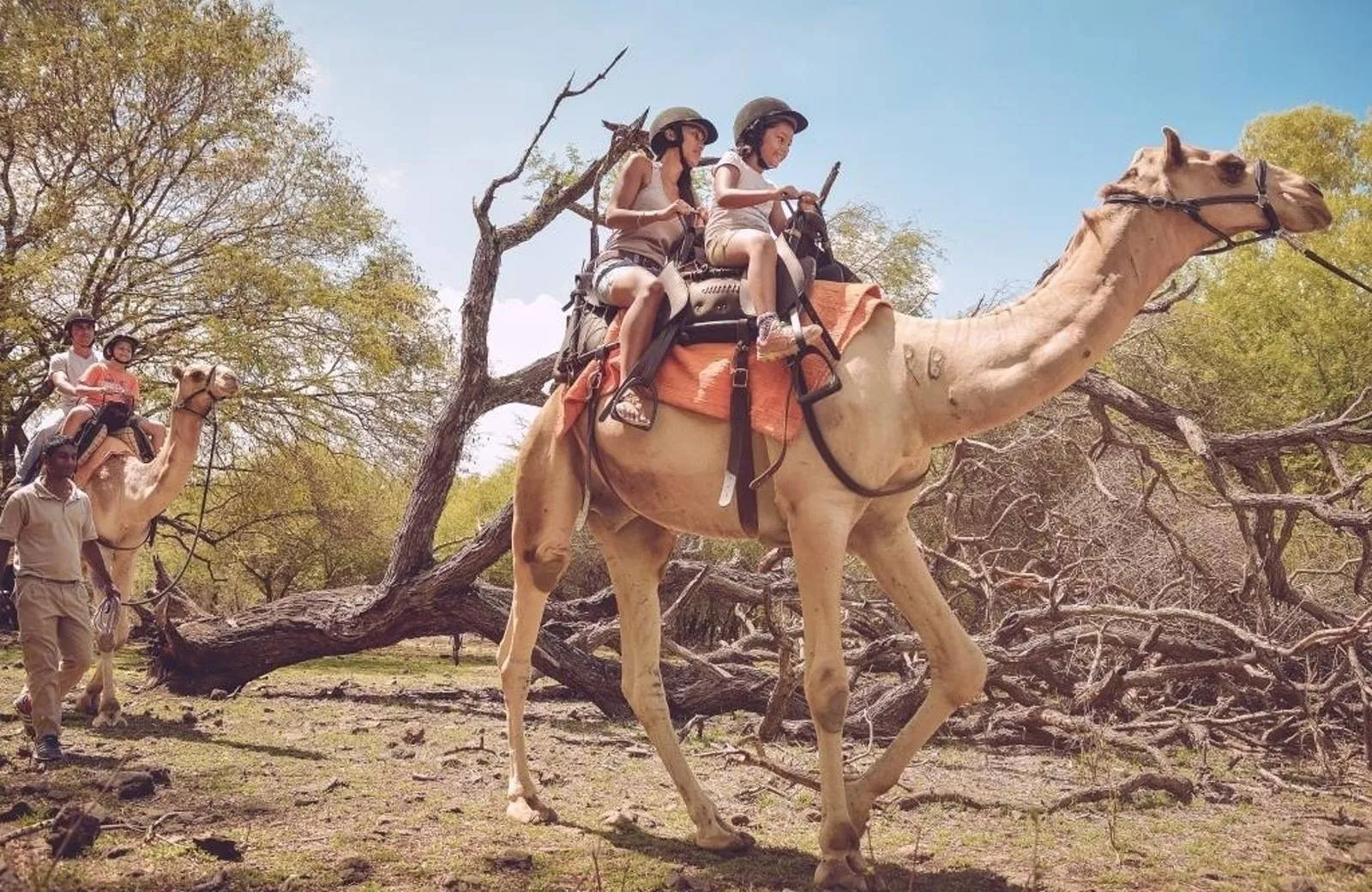 Casela World of Adventures