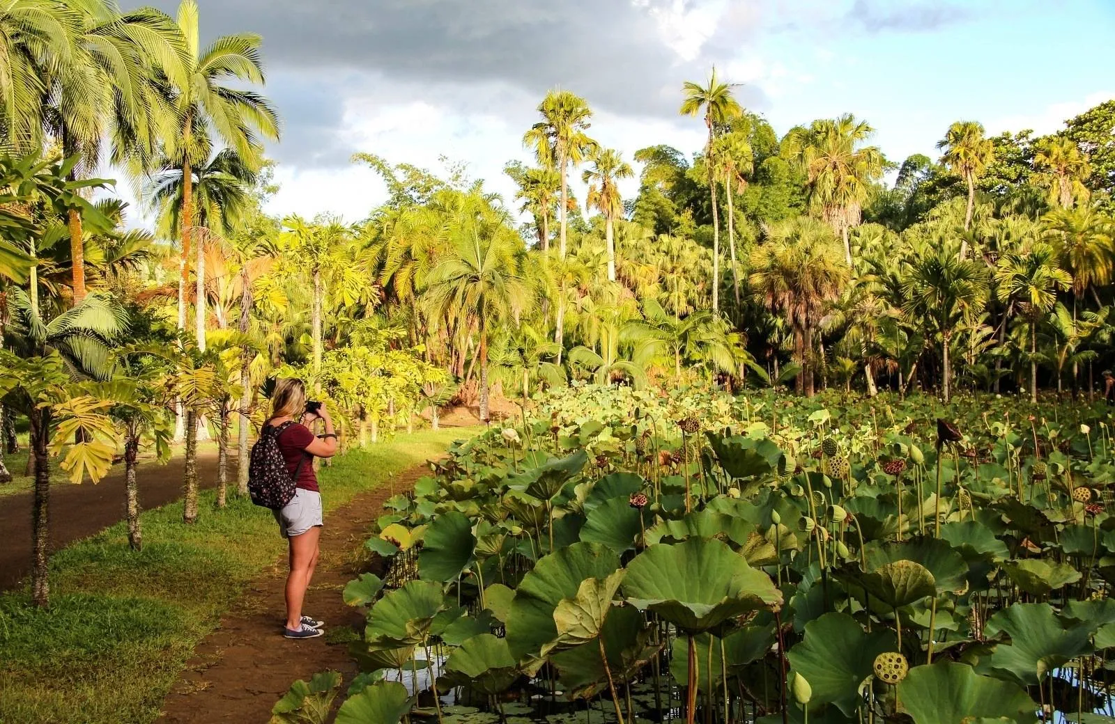 Pamplemousses - Botanical Garden