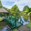 Pamplemousses - Botanical Garden