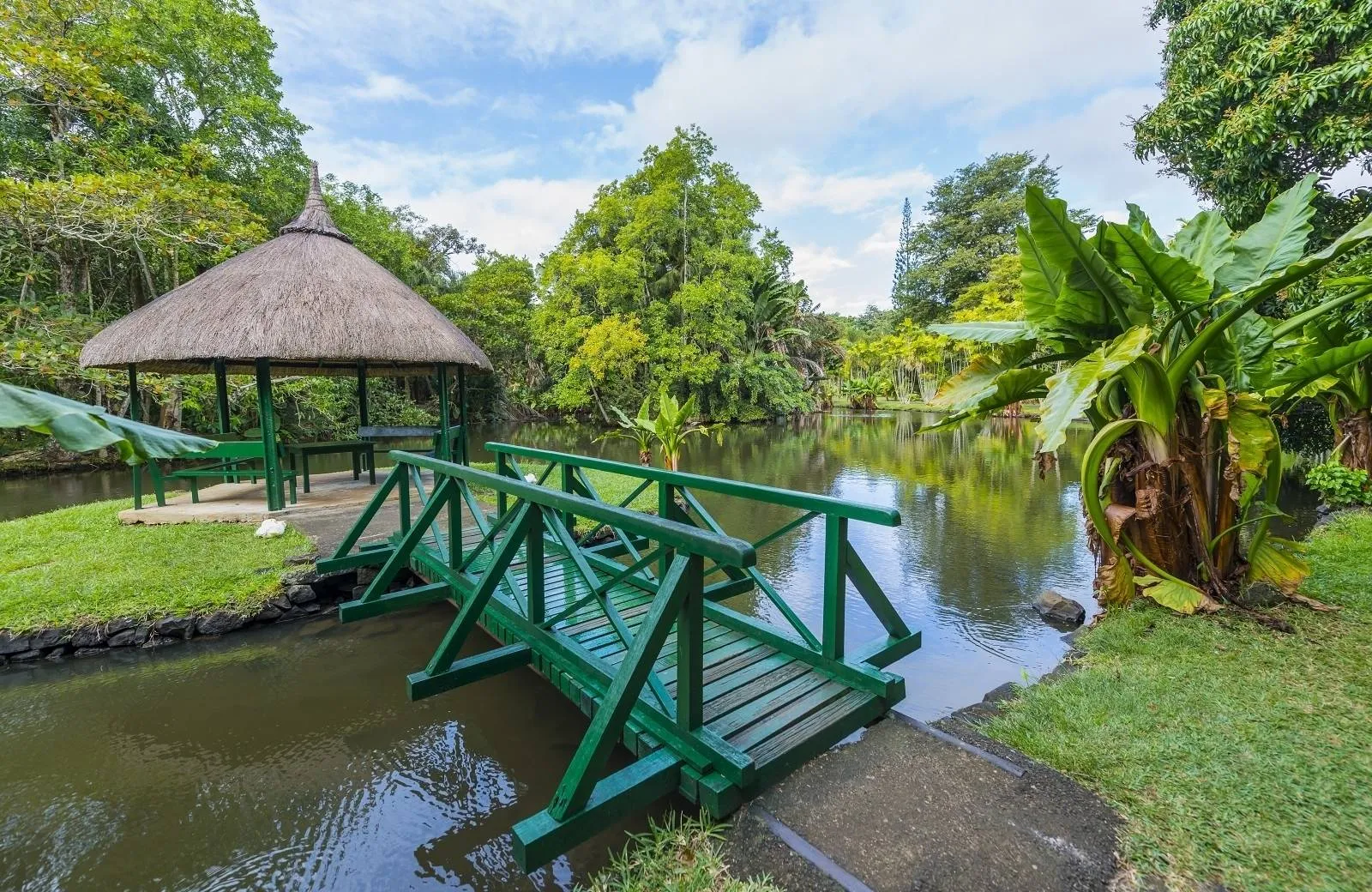 Pamplemousses - Botanical Garden