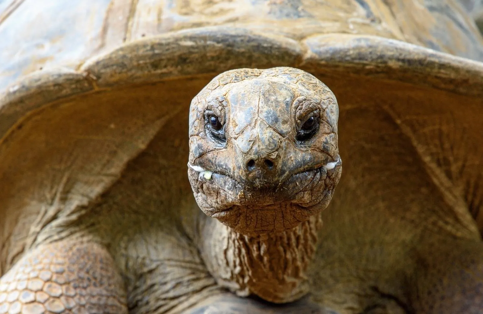 La Vanille Nature Park