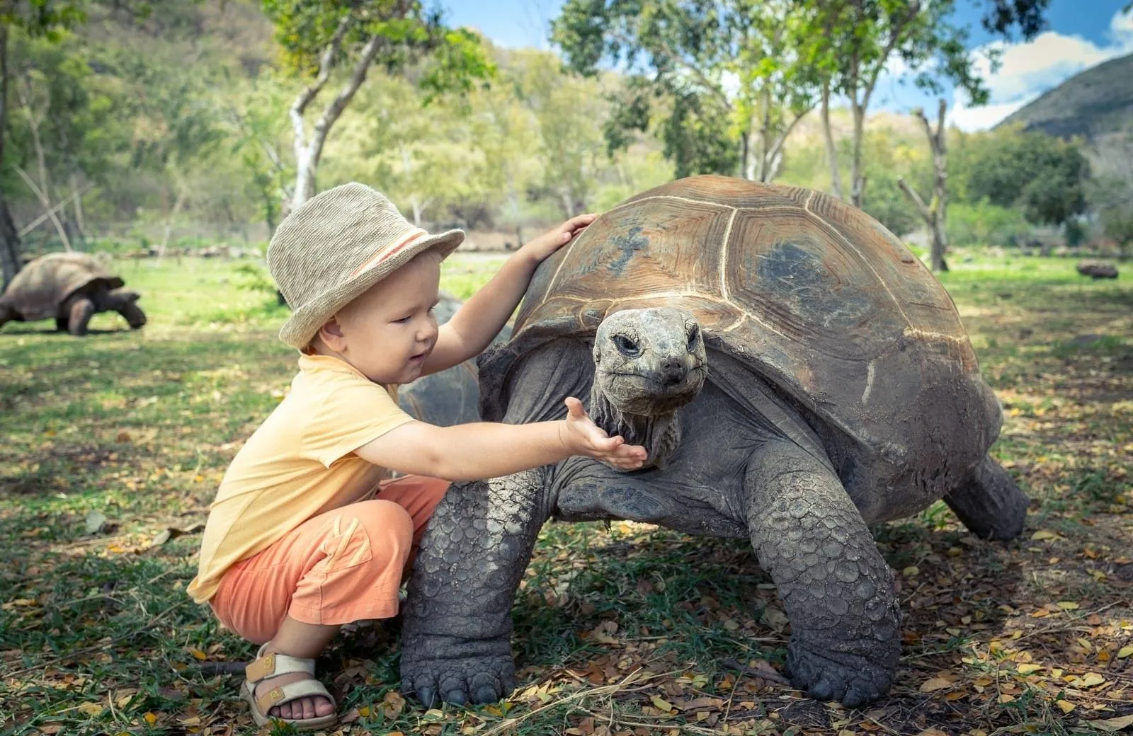 La Vanille Nature Park