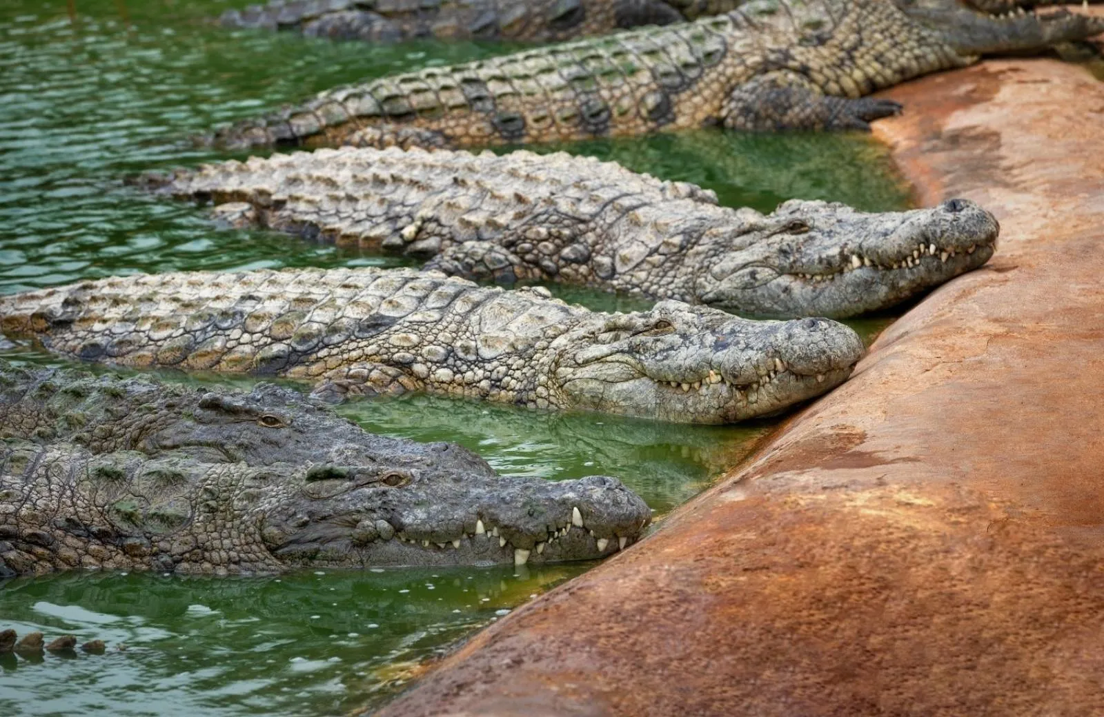 La Vanille Nature Park