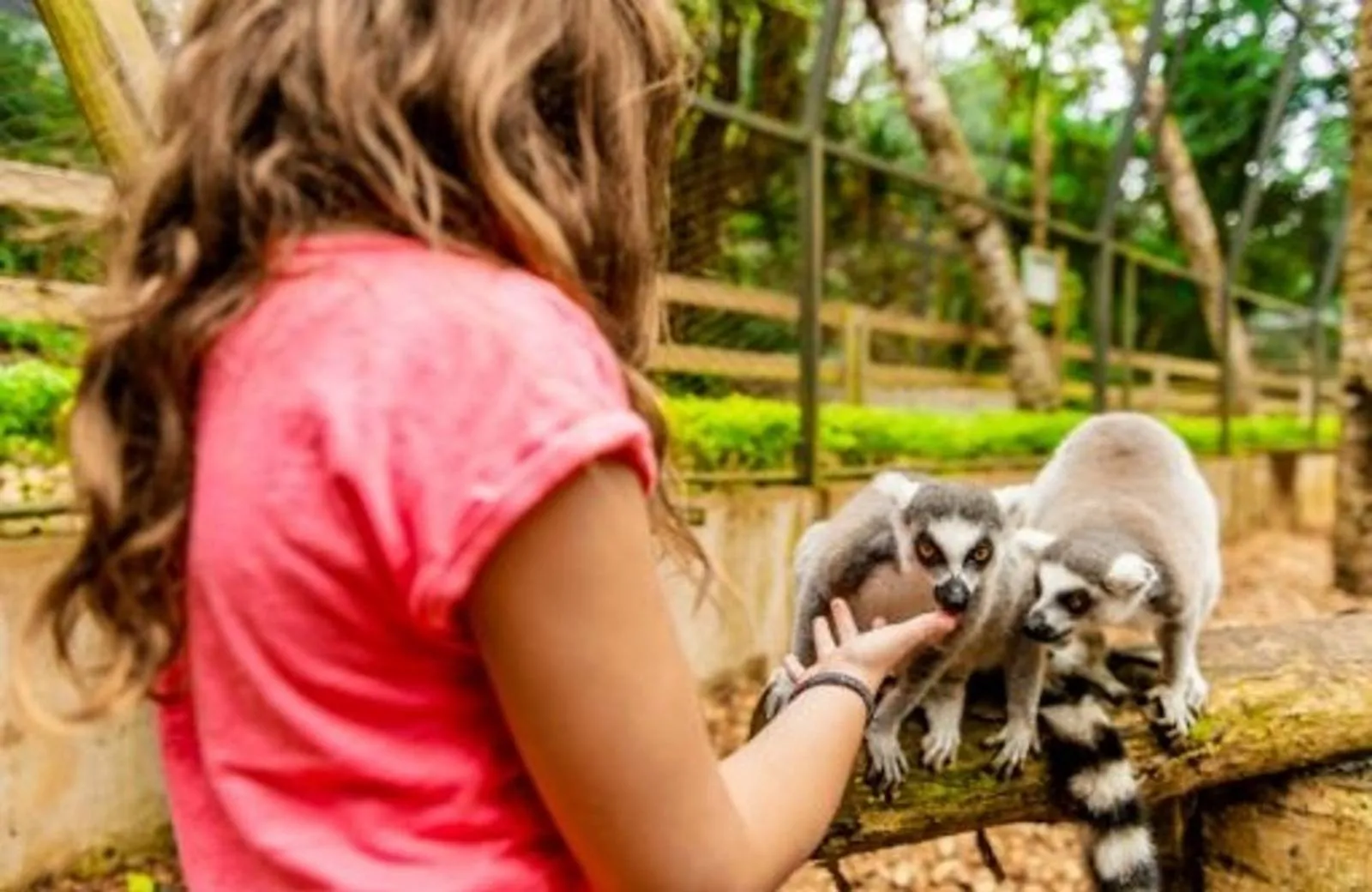 La Vanille Nature Park