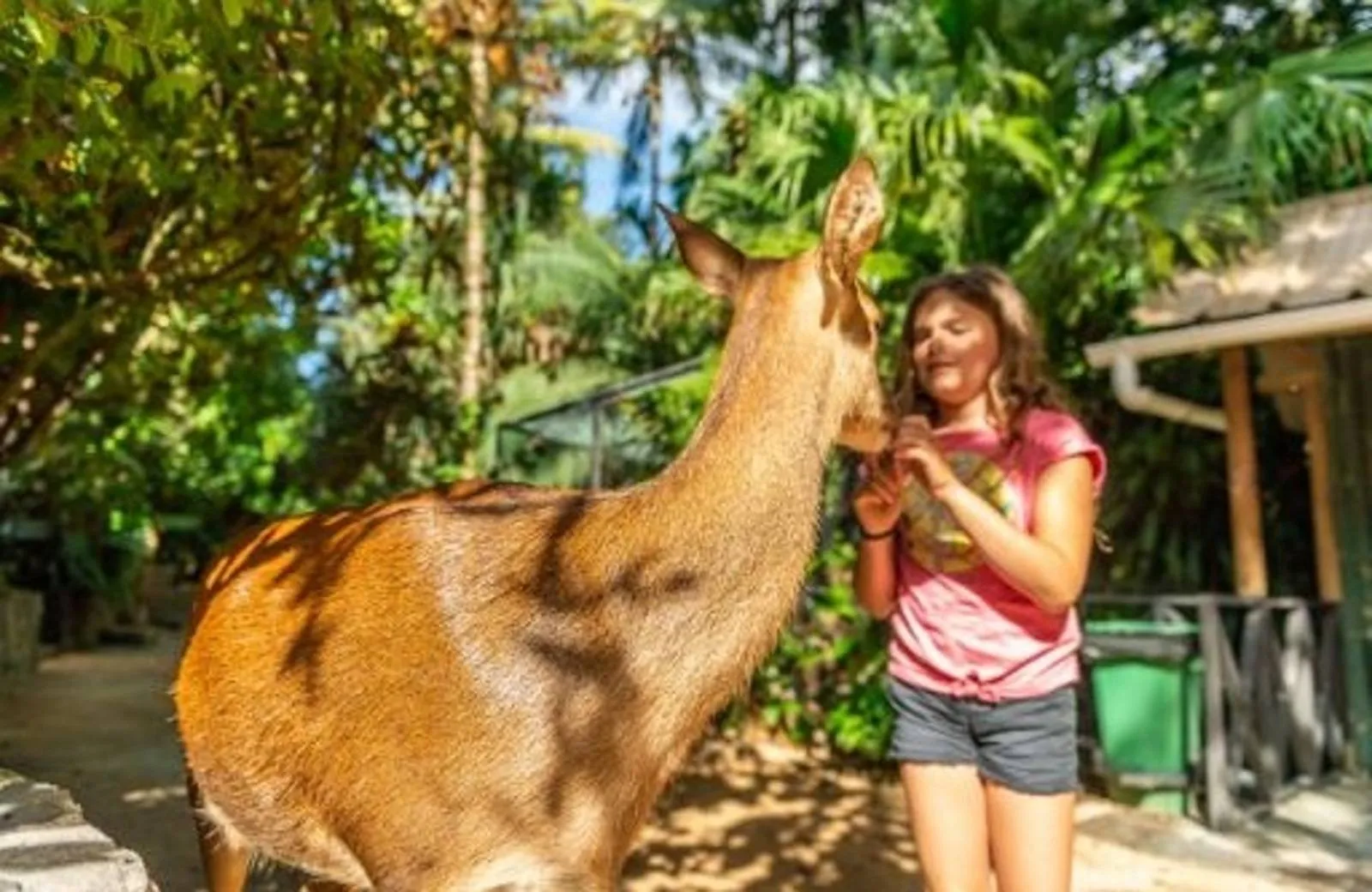 La Vanille Nature Park