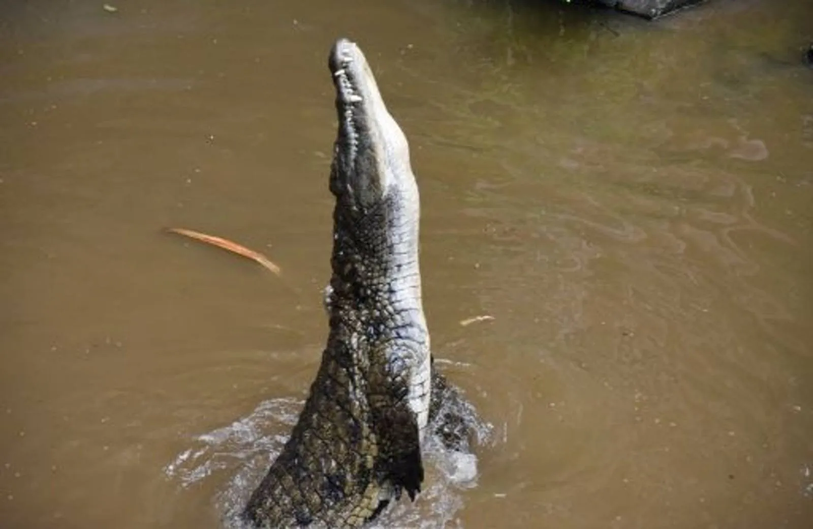 La Vanille Nature Park