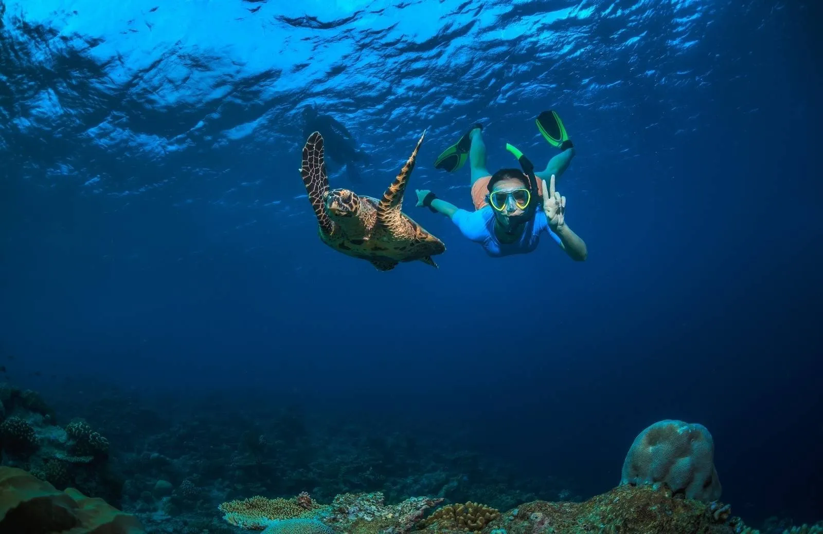 Aktivity a atrakce Seychely