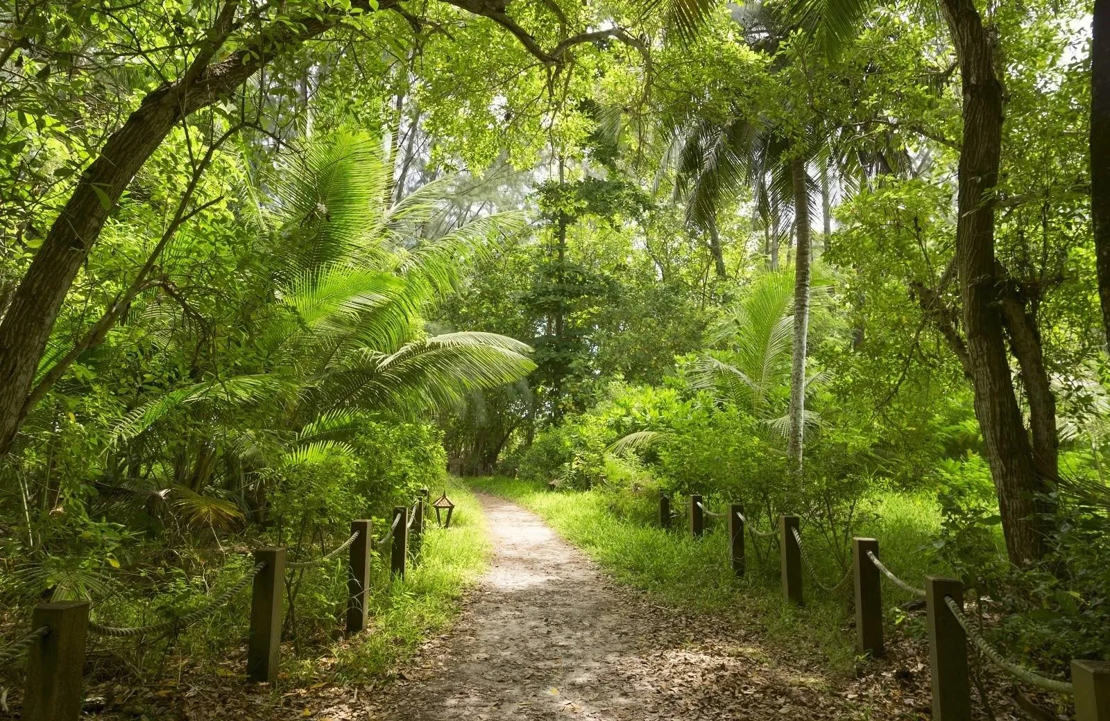 Aktivity a atrakcie Seychely