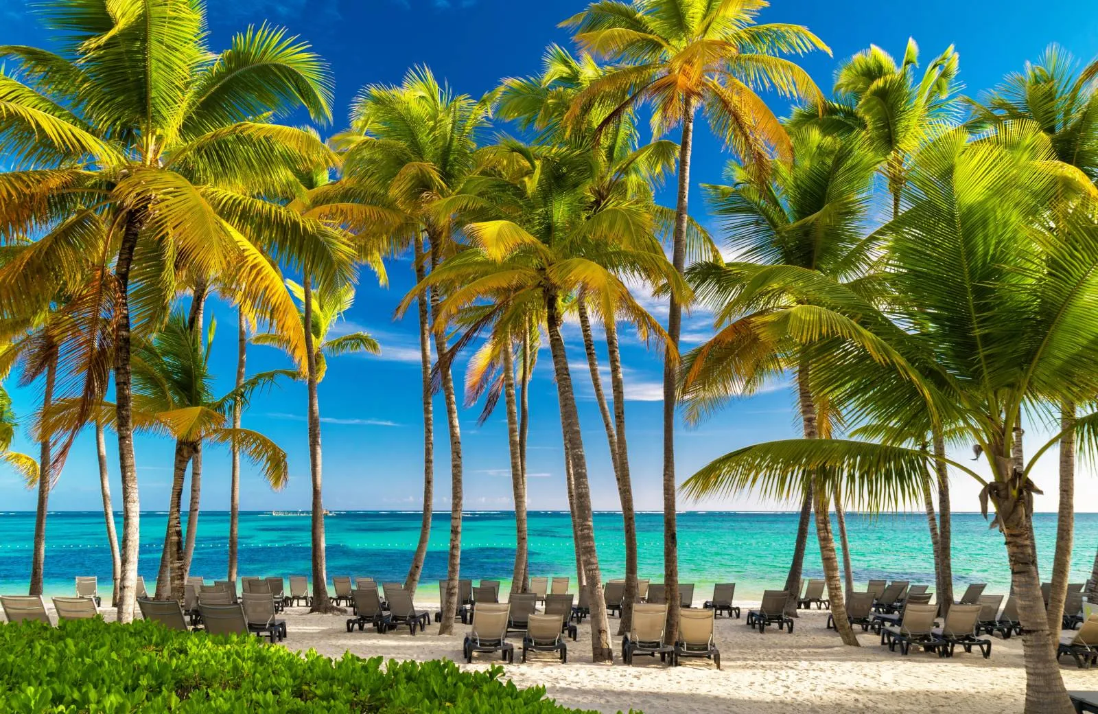 Úvod Dominikánska Republika