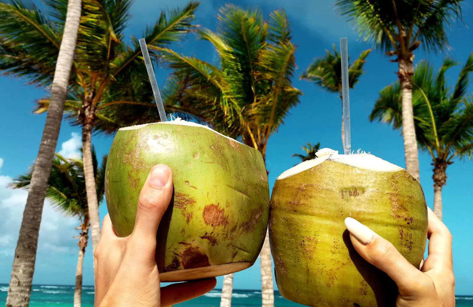 Úvod Dominikánska Republika