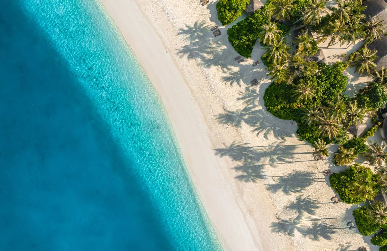 Úvod Dominikánska Republika