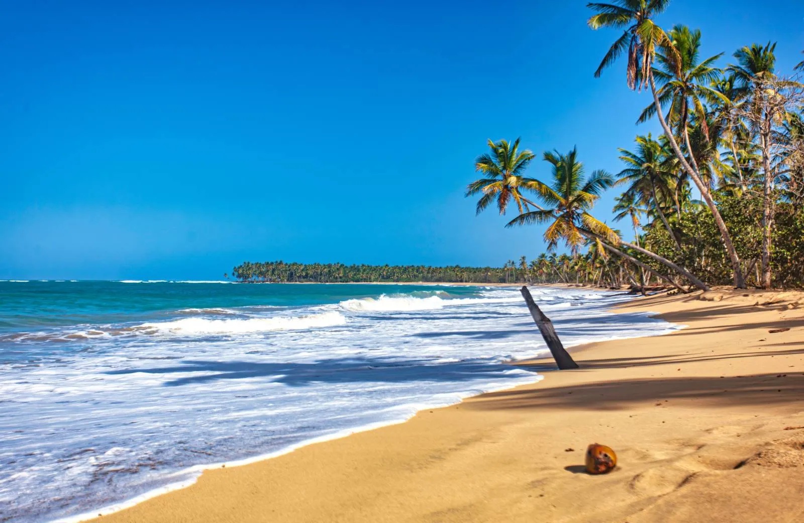 Úvod Dominikánska Republika