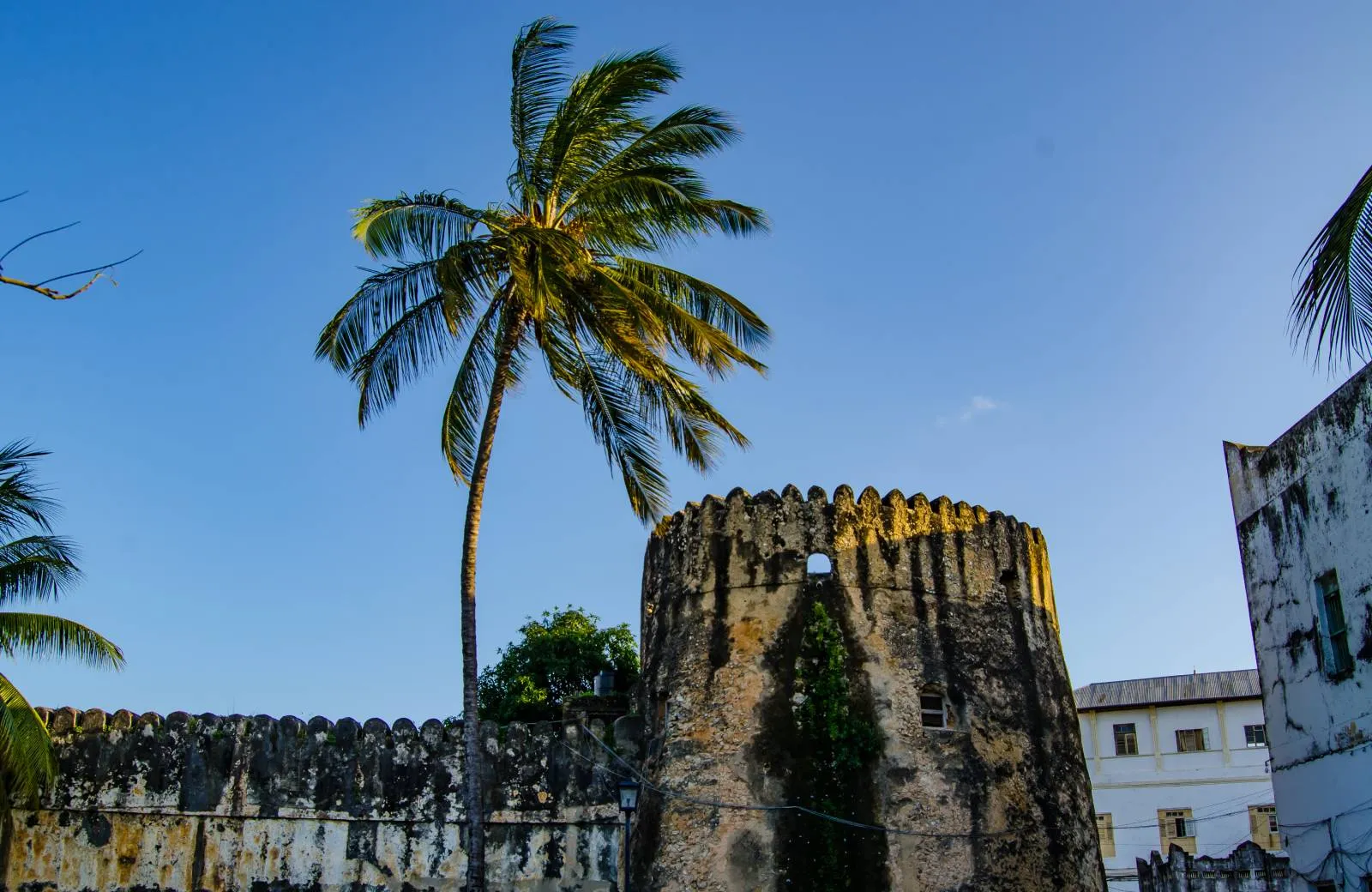 Aktivity a atrakce Zanzibar