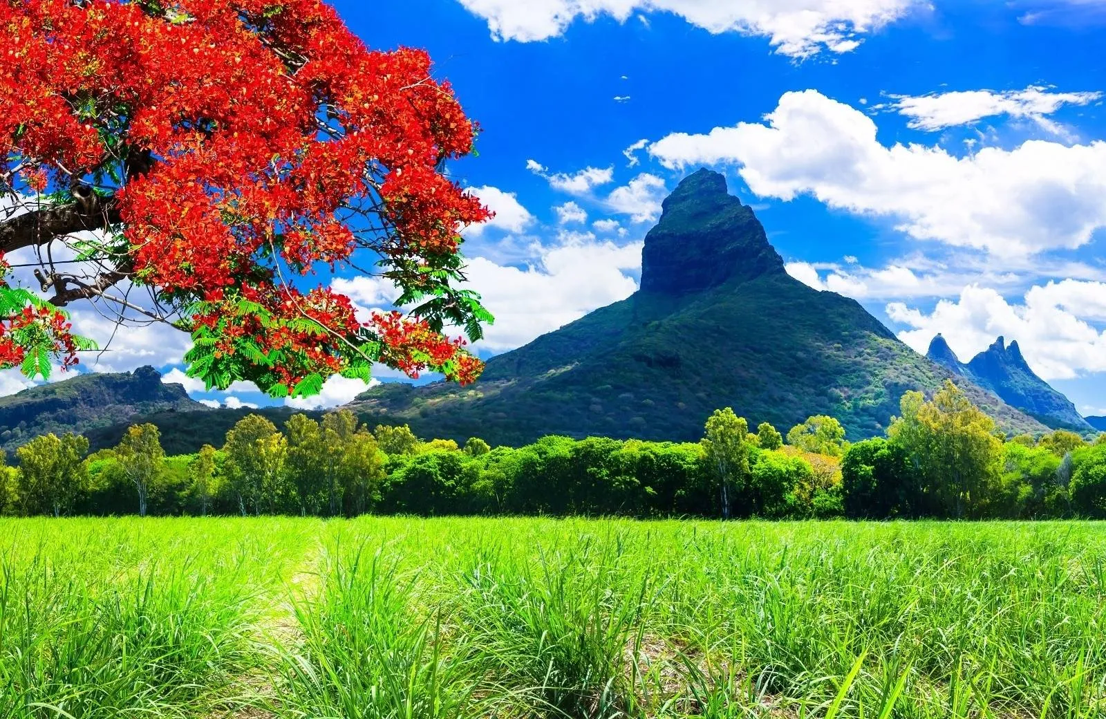 Introduction Mauritius