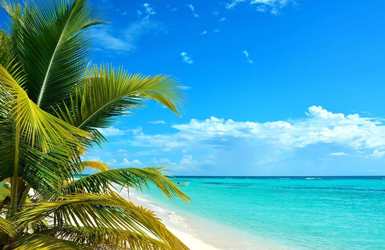 Introduction Mauritius