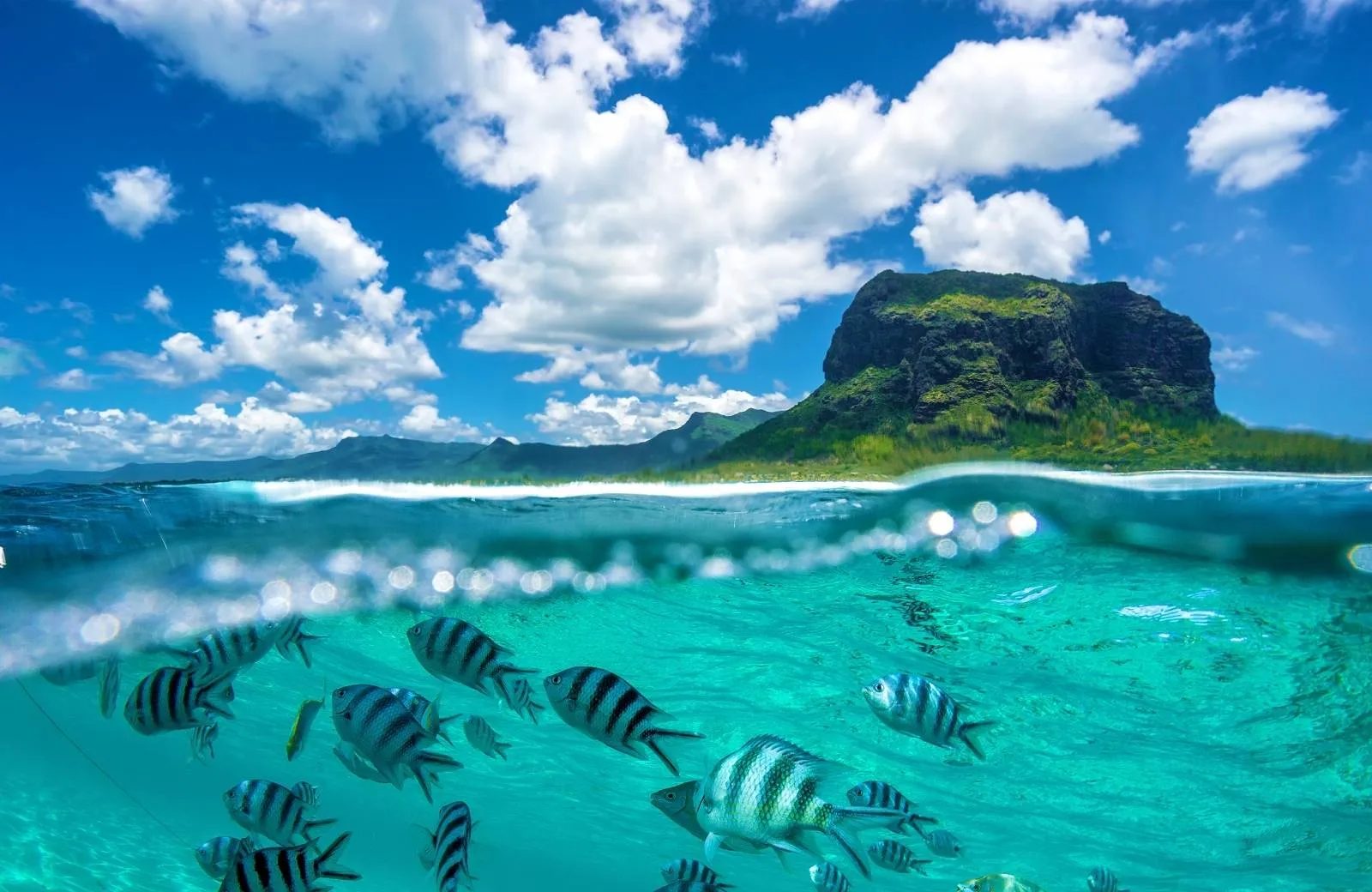 Introduction Mauritius